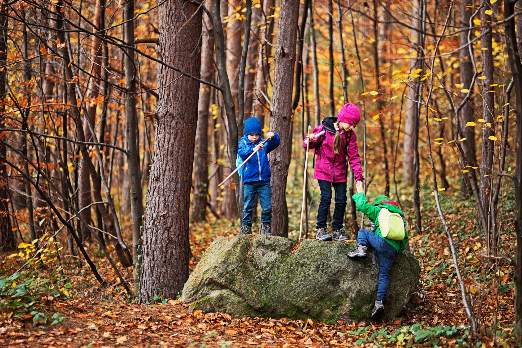 Kids hiking in autumn forest